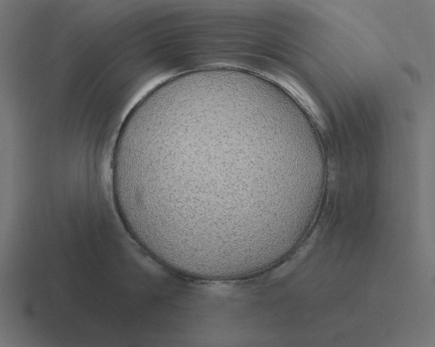 X0000116430814200912291907