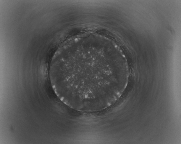 X0000116430818200912291906