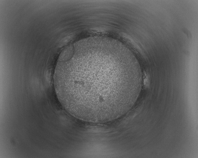 X0000116430819200912291906