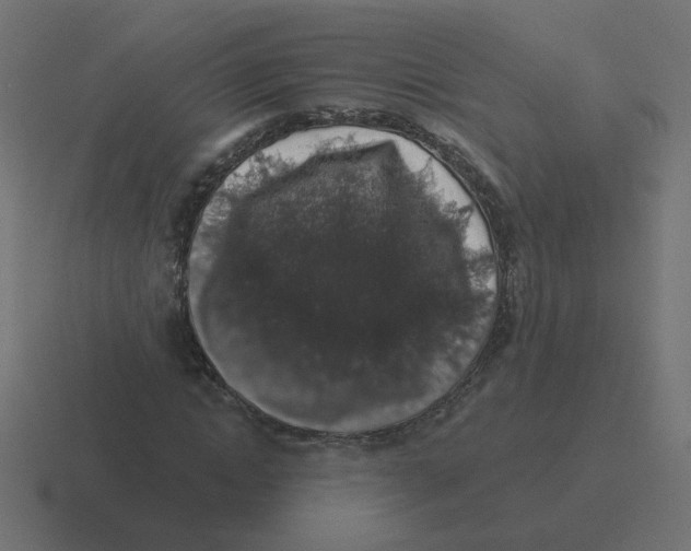X0000116430822200912291906