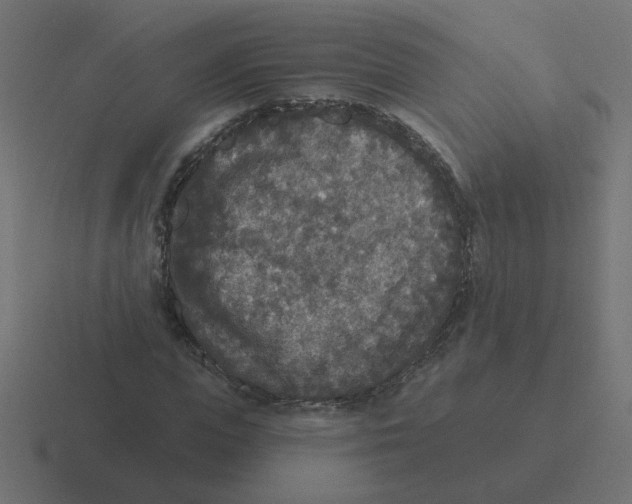 X0000116430823200912291906