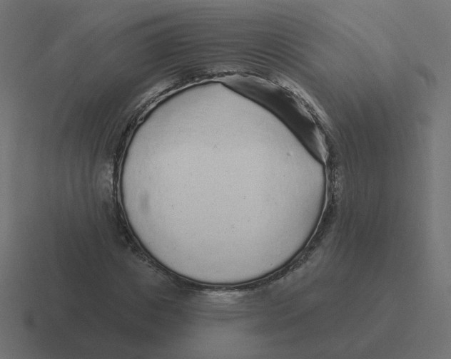 X0000116430825200912291906