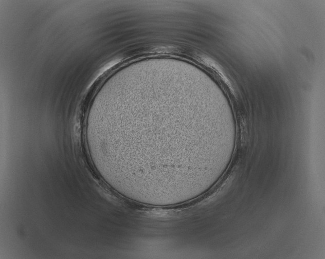 X0000116430827200912291906