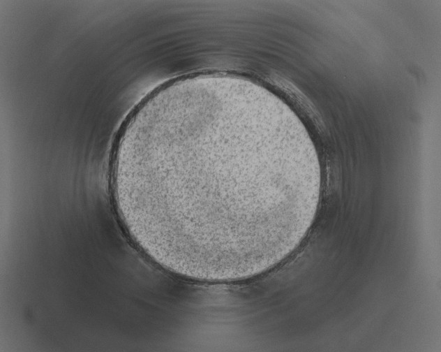 X0000116430828200912291906