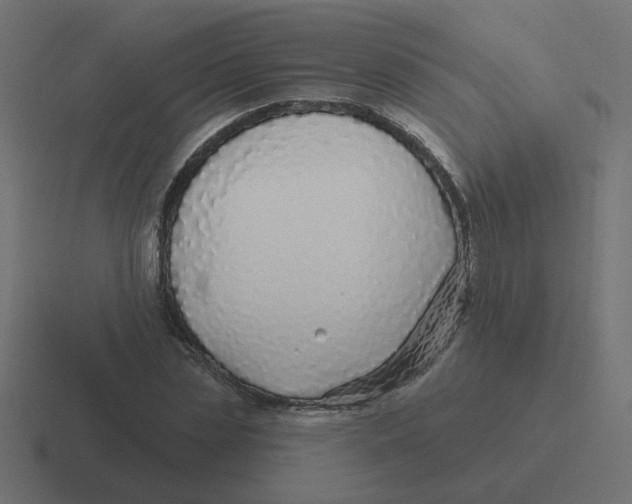 X0000116430829200912291906