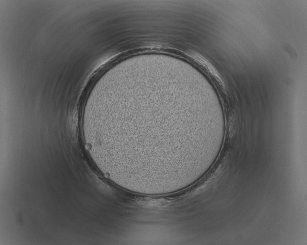 X0000116430831200912291906