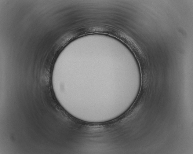 X0000116430833200912291906
