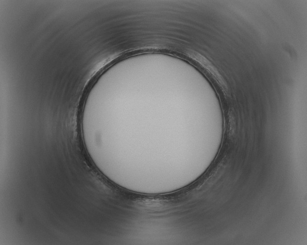 X0000116430834200912291906