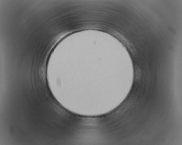 X0000116430836200912291906