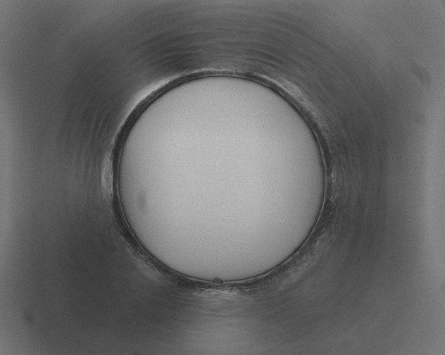 X0000116430838200912291906