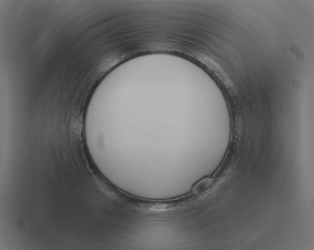 X0000116430841200912291906