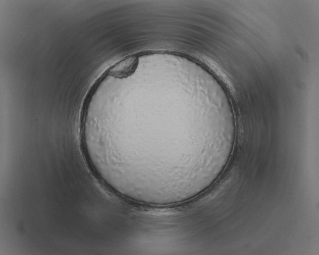 X0000116430845200912291907