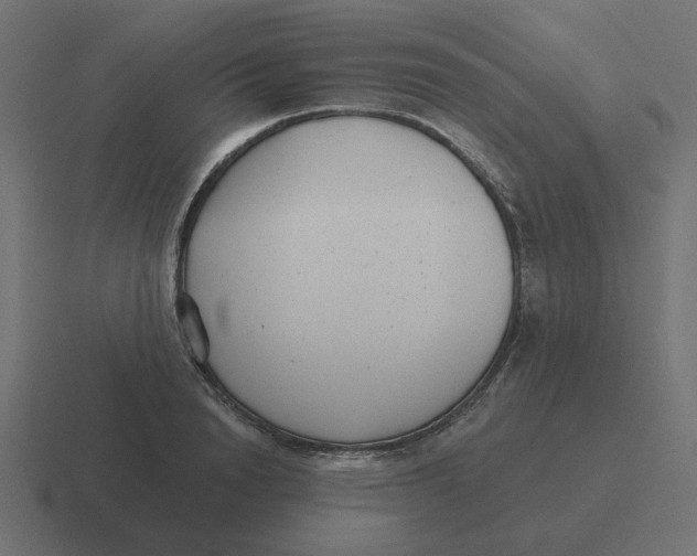 X0000116430846200912291907