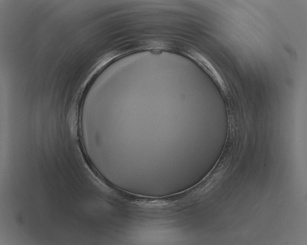 X0000116430851200912291907