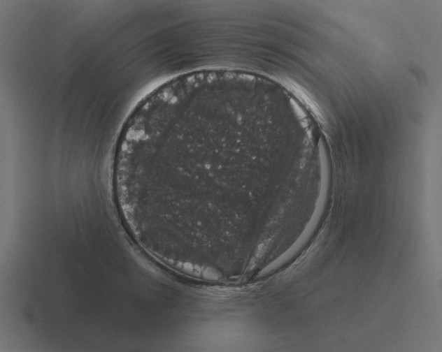 X0000116430854200912291907