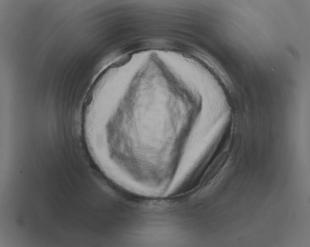 X0000116430858200912291907