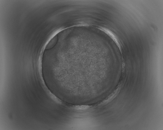 X0000116430859200912291907