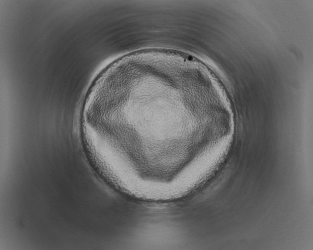 X0000116430862200912291907