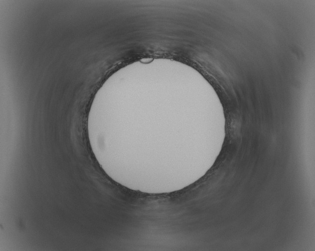 X0000116430865200912291906