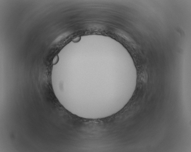 X0000116430869200912291906