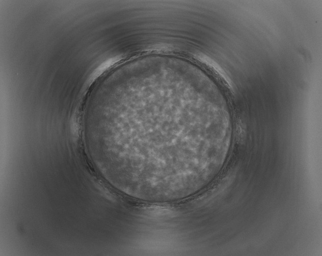 X0000116430874200912291906