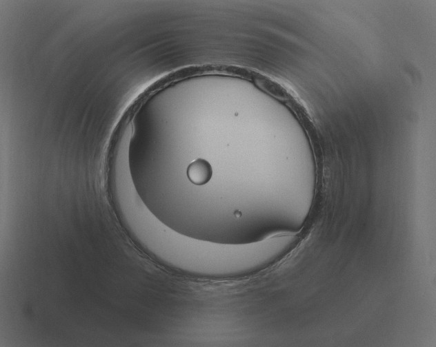 X0000116430879200912291906