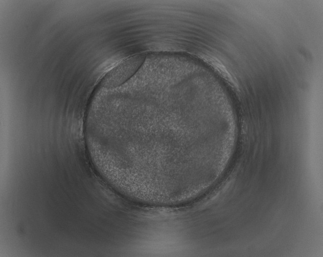 X0000116430881200912291906