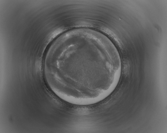 X0000116430882200912291906