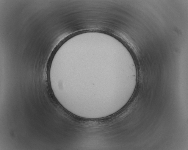X0000116430883200912291906
