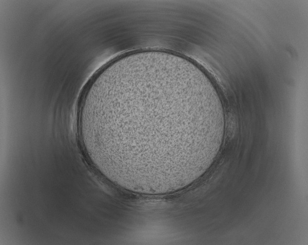 X0000116430886200912291906