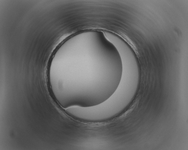 X0000116430893200912291906