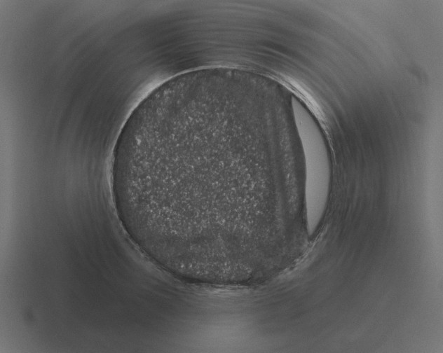 X0000116430899200912291906