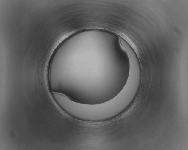 X0000116430901200912291906