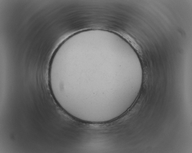 X0000116430904200912291906