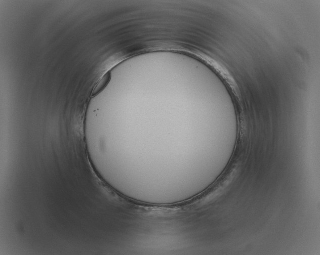 X0000116430905200912291906