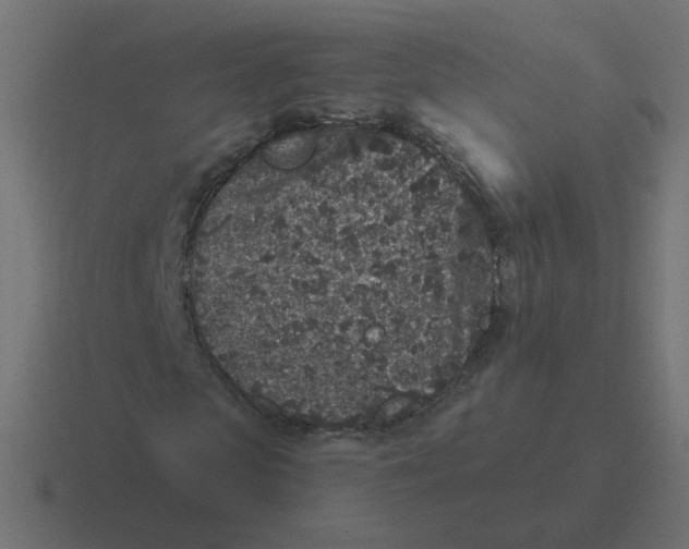 X0000116430913200912291905