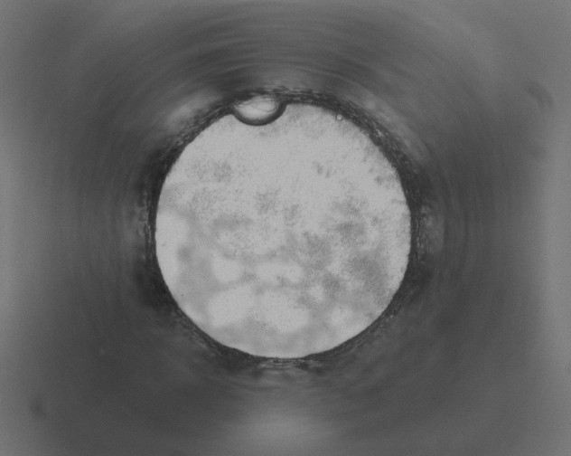 X0000116430918200912291905