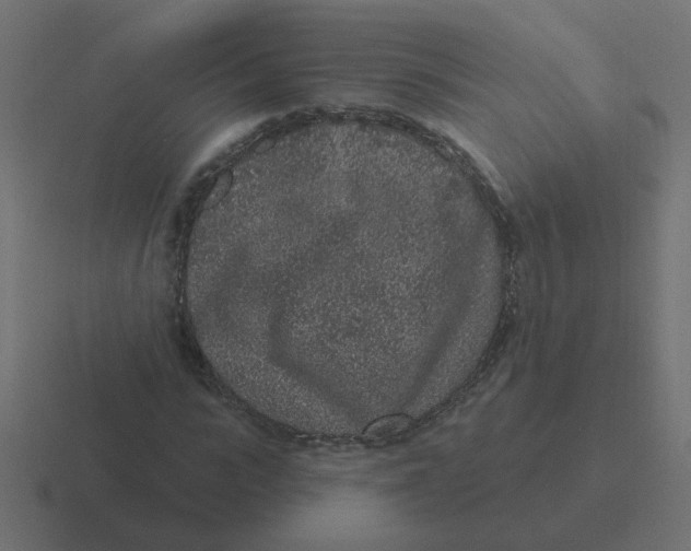 X0000116430919200912291905