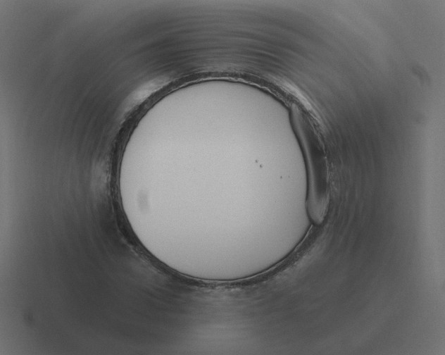 X0000116430922200912291905