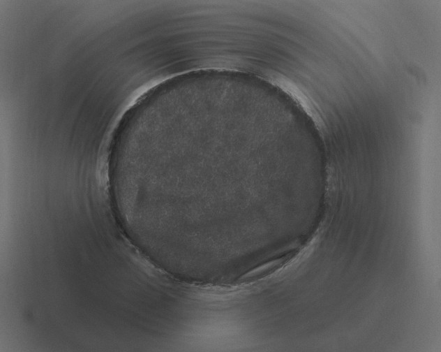 X0000116430923200912291905