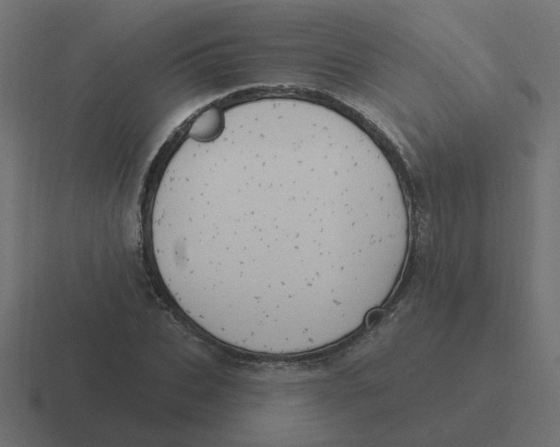 X0000116430927200912291905