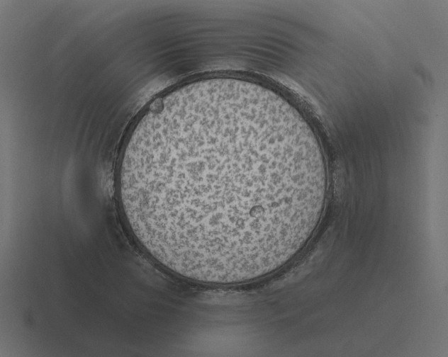 X0000116430929200912291905