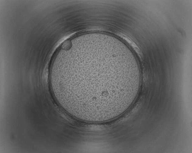 X0000116430933200912291905