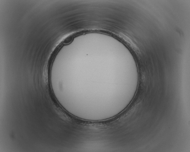 X0000116430934200912291905