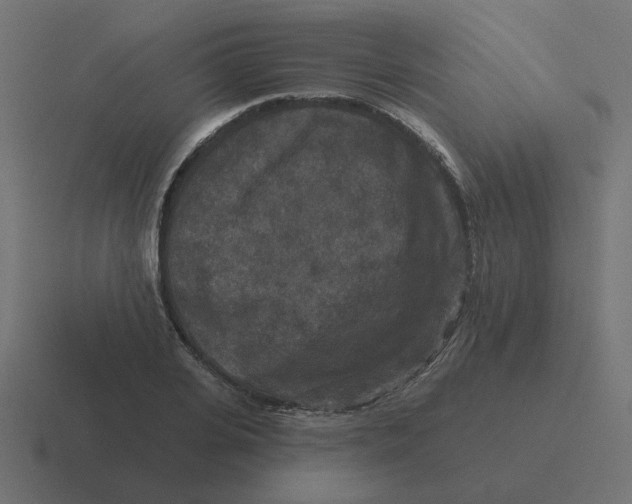 X0000116430935200912291905