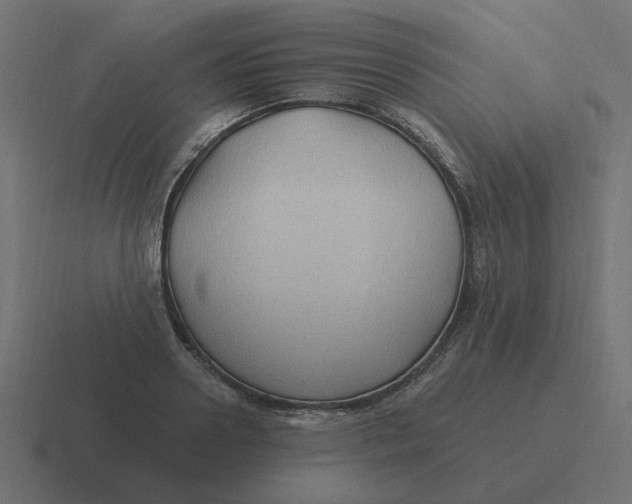 X0000116430938200912291905