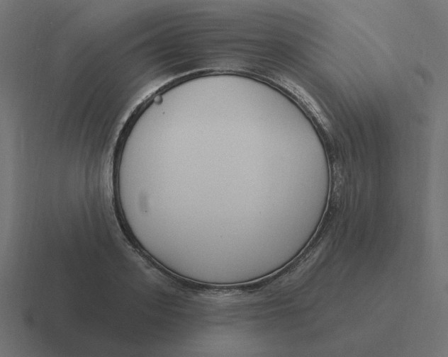 X0000116430939200912291905