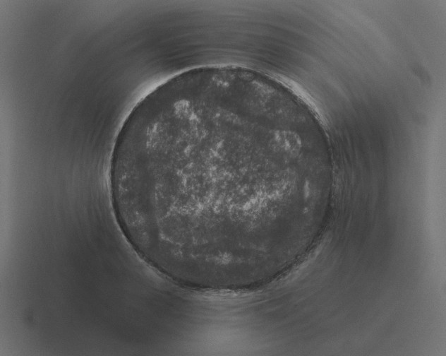 X0000116430943200912291905