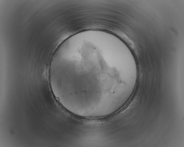 X0000116430945200912291905