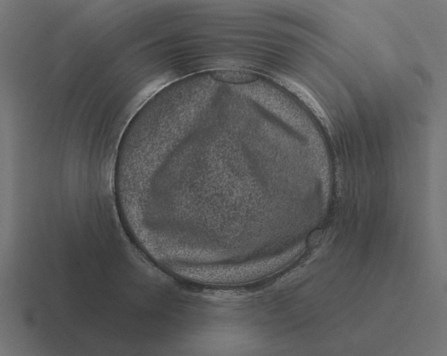 X0000116430946200912291905